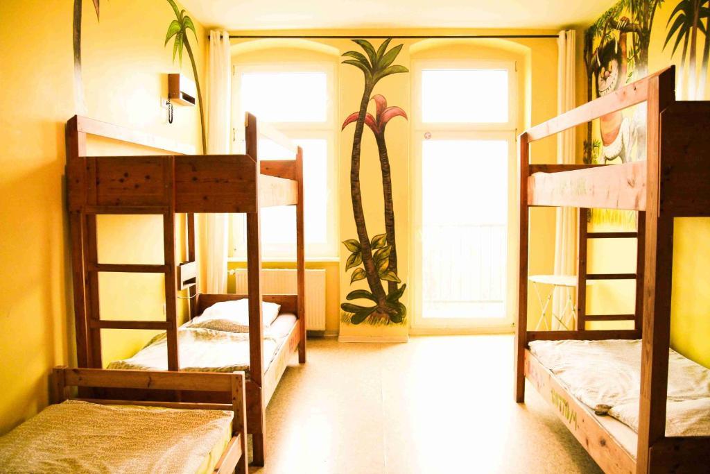 Bett im gemischten 6-Bett-Schlafsaal