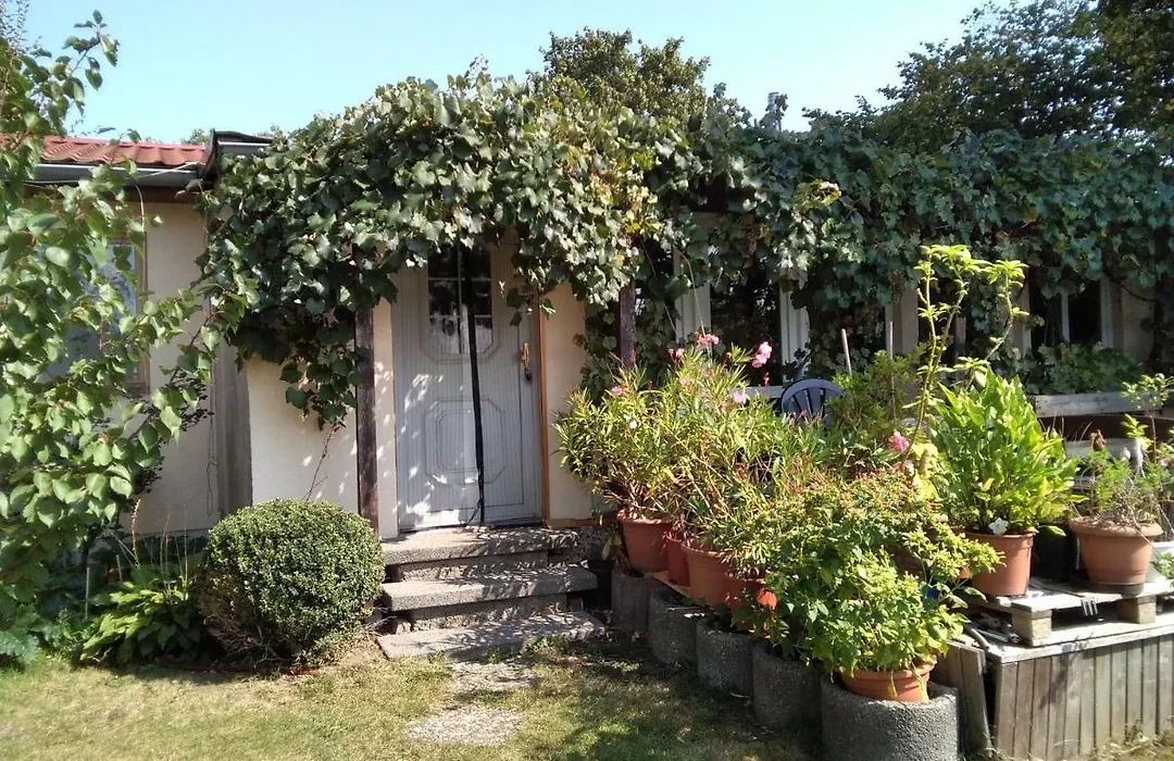 Gartenhaus-1
