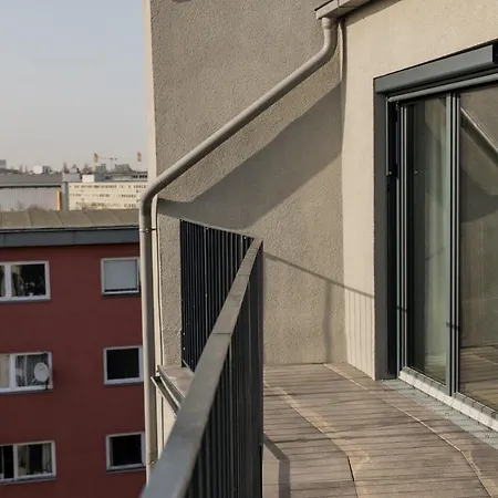 Homaris Kreuzberg 61-2