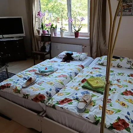 Weltoffenes privates Gästezimmer bei LGBTQ freundlichen Gastgeber der mit in der Wohnung lebt-2
