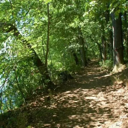 Dachwohnung mit Wasserblick und eigenem Bootssteg-3