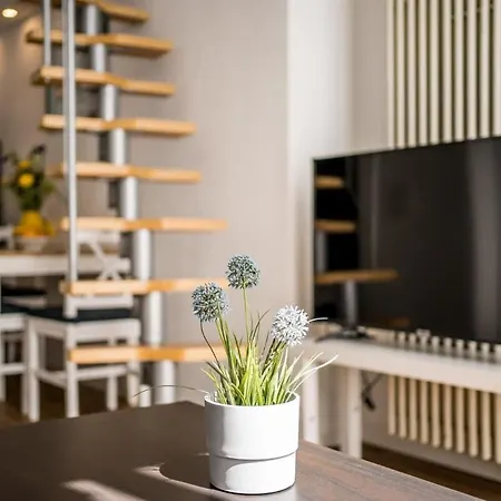 Industrial Loft in Berlin Mitte-2