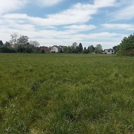 Stadtgrün 2-3