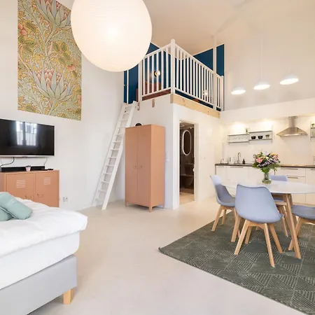 Great 1-Room Loft-2