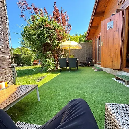 Apartment Berlin | Garden, Terrace, Nature-2