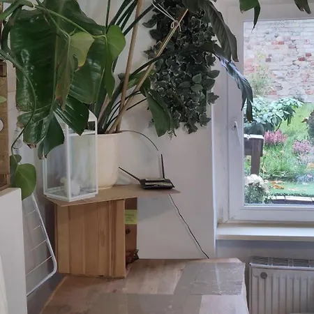 Cozy 1 Room Micro Apartment ,1Double,1Single Bed-3