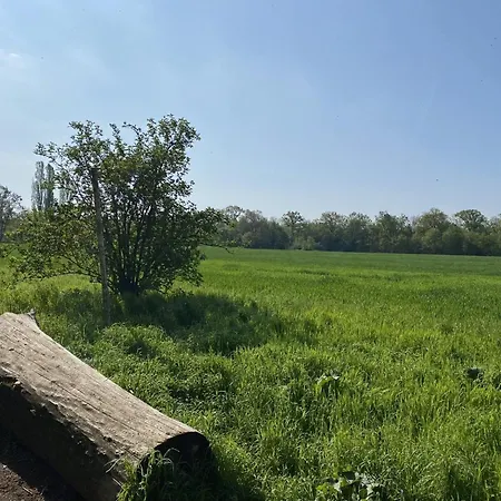 Ferien am Berliner Mauerweg-2