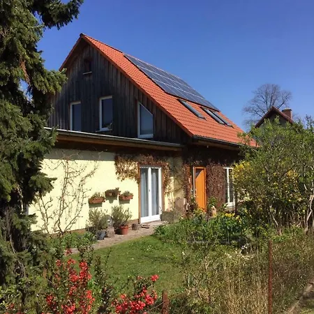 Nice Room In Green Pankow District-3