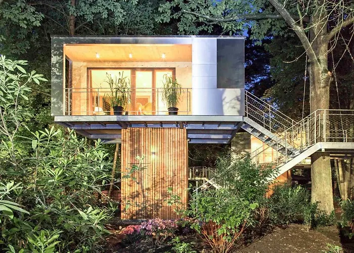 Urban Tree House