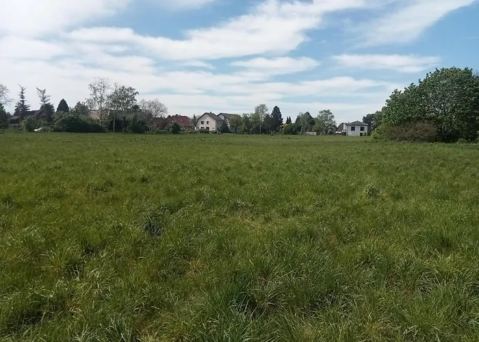 Stadtgrün