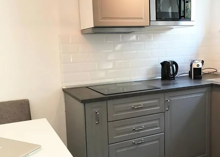 Designer Central Apartment With Parking & Terrace Berlin
