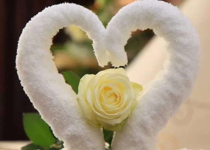 Regenbogen