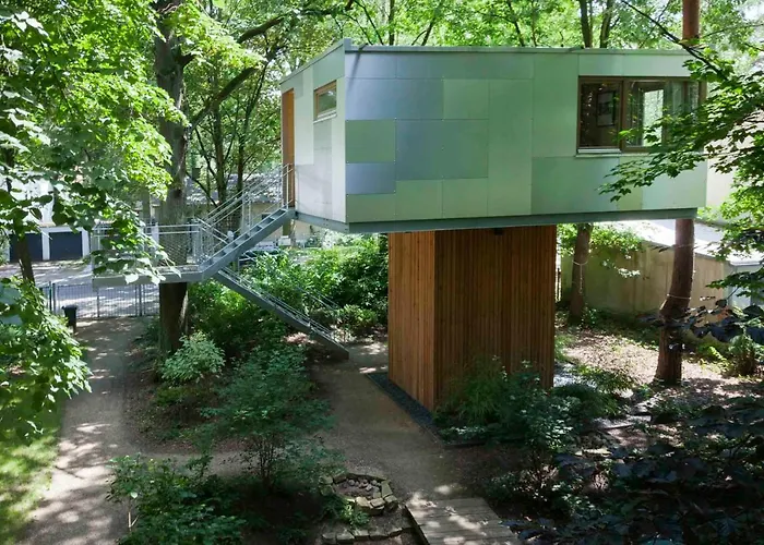 Urban Tree House